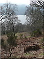 The north banks of Loch Tummel