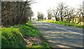 The Old Pollee Road near Broughshane