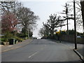 Street Scene, Higher Drive, Purley