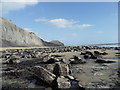 SY3792 : Charmouth beach on the Jurassic coast. by Pam Goodey