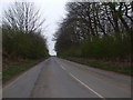 Lodge Lane through Lodge Plantation