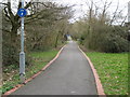 Bullbrook: Footpath and cycle track from Jig