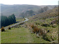 Cwm Pysgotwr Fawr near Bryn Ambor, Ceredigion