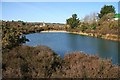 Bissoe Valley Nature Reserve