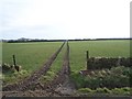 Tractor Tracks, Mossley Road, Sheephouse Heights