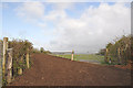 Public footpath and gallop off lane toward Treguff