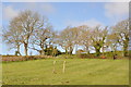 Horses and posts near Llancarfan