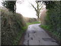 Risbury - The Lane South