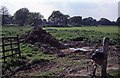 Field near Dowlands Lane