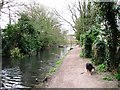 Wendover Arm: Along the Canal-side Footpath