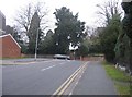 Looking up The Greenway