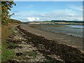 The beach at Kiltearn