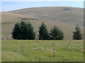 Hillside by Cwm Pysgotwr Fawr, Ceredigion