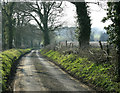 2009 : Approaching Beans Land Farm