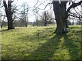 Footpath across Syndale Park