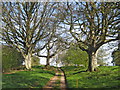 Bridleway at Gothelney Hall