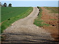 Farm track onto Woodcock Downs