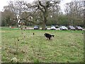 Car Park for Great and Little Bookham Commons