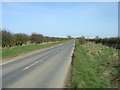 Road Towards Grindale