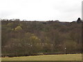 Looking towards Tentering Tower, Stubbins