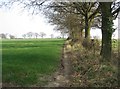 Field boundary - Lodge Farm