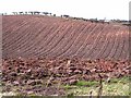 Freshly ploughed field