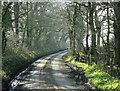 2009 : Long Lane, near Beans Land Farm