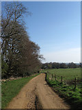 TQ0315 : Track to Quell Farm by Simon Carey
