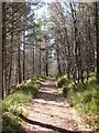 NN6055 : Woodland path by Gordon Hatton