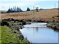 The West Dart River