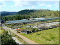 View over Duchy Nurseries and the Fowey valley