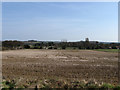 Field off Church Lane