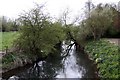 The River Ock from The Ock Bridge