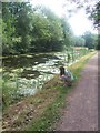 Mid Devon : The Grand Western Canal