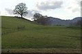 NN7719 : Hillside between Cultybraggan and Auchingarrich by Mike Pennington
