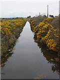 S9604 : Drainage ditch north of Killmore Quay by David Hawgood