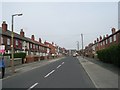 Skelton Avenue - Ivy Grove