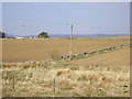 View towards Newbigging