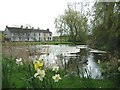 Kilham Duck Pond