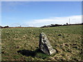 Stone and mast south of Fishguard