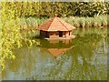 Throop: duck house on the pond