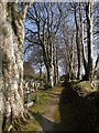 Campdowns Cemetery