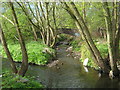 SP0581 : The Bourn Joins The River Rea, Ten Acres, Stirchley by Roy Hughes