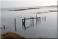 Wooden posts in the river