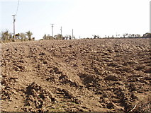 S9919 : Ploughed field East of Forth Mountain by David Hawgood