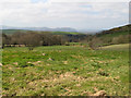 Fields by Mynydd Lane