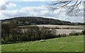 A Meadow with Sheep ? and a view towards Buckland Hoo