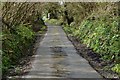 Buttercombe Lane heading towards Braunton