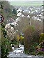 Ash Road approaching Braunton