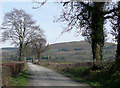 Farm road near Llanddewi-Brefi, Ceredigion